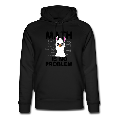 Mathe LK Hoodie - Mathe ist kein Problem