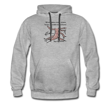 Mathe LK Hoodie - What makes some plant better at math than others?