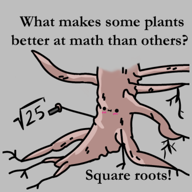 Motiv What makes some plant better at math than others?