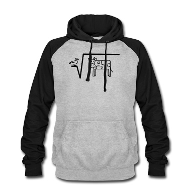 Mathe LK Hoodie - Ente Wurzel aus Kuh, Mathematik, Mathe Lk