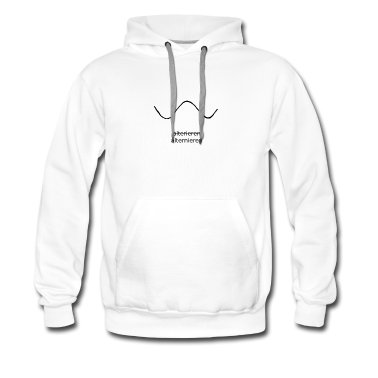 Mathe LK Hoodie - alternieren Mathe Spruch Geschenk