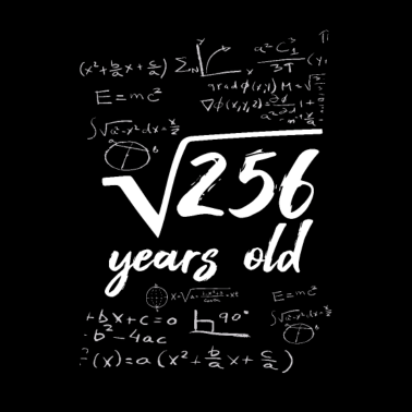 Motiv 16 Jahre alt 16. Geburtstag Wurzel aus 256 Mathe