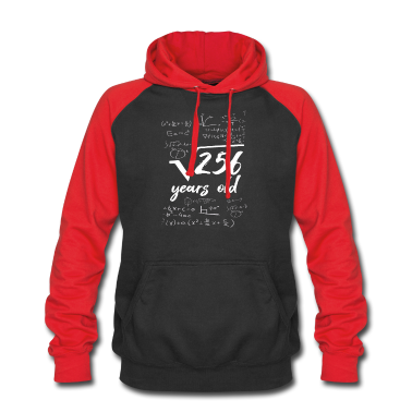 Mathe LK Hoodie - 16 Jahre alt 16. Geburtstag Wurzel aus 256 Mathe