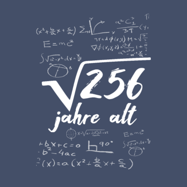 Motiv Wurzel aus 256 Jahre alt cooles 16. Geburtstag