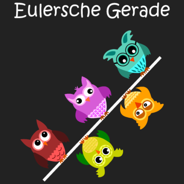 Motiv eulersche gerade, Eulen, Geschenk für Mathematiker