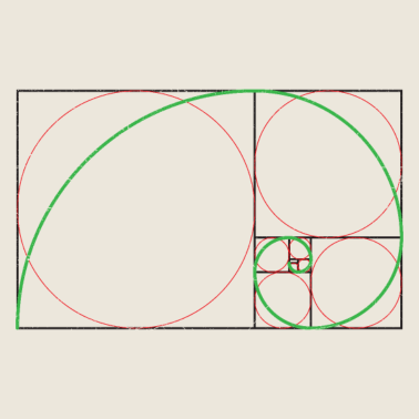 Motiv Mathe-Symbole Golden Spirale Nautilus Muschel Gift