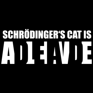 Motiv Schrödingers Katze