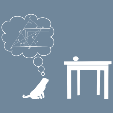 Motiv Katze sciencest