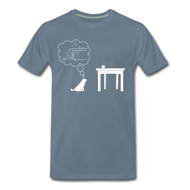 Mathe LK T-Shirt - Katze sciencest