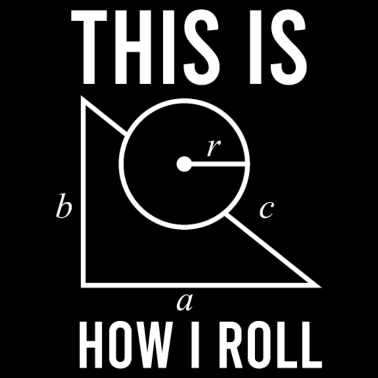 Motiv Mathematik - this is how it roll