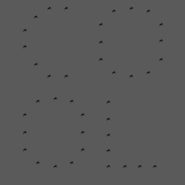 Motiv cool king queen leidenschaft love Schwimmer