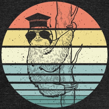 Abschluss T-Shirt - Uni Schule Abschluss Faultier Cool Retro