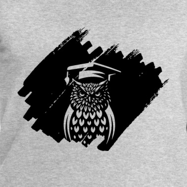 Abschluss Pullover - Schulabgänger Abschluss Eule Bestanden