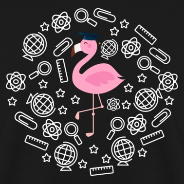 Abschluss Pullover - Flamingo Abschluss Schule Uni Geschenk