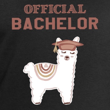 Abschluss Pullover - Alpaka Official Bachelor Abschluss Geschenk