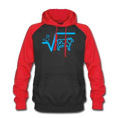 Abitur Hoodie - Mathematiklehrer Mathe Studenten Spruch Ente