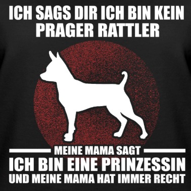 Abschlussfahrt Pullover - PRAGER RATTLER