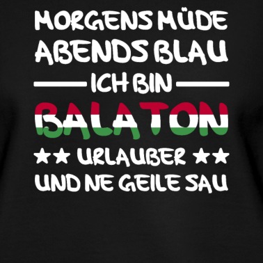 Abschlussfahrt Pullover - Balaton Plattensee Ungarn Urlaub