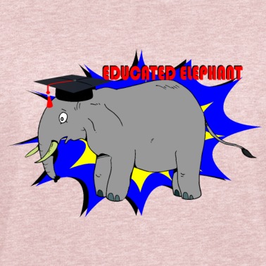 Abschlussfahrt Pullover - Educated Elephant