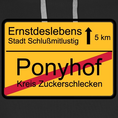 Abschlussfahrt Hoodie - ende ponyhof