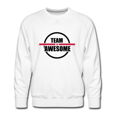 Klassenfahrt Pullover - team awesome