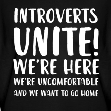 Abschlussfeier Pullover - Introvertierte vereinen Wir sind hier