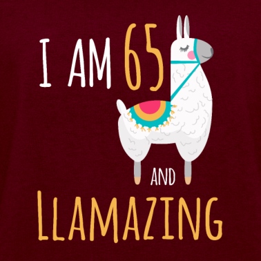 Abschlussfeier Pullover - Ich bin 65 und lamazing lustigen Lama Alpaka Geburtstag