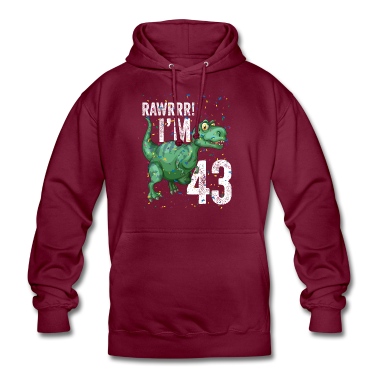 Abschlussfeier Hoodie - Rawrrr Ich bin 43 Lustiger Dinosaurier Geburtstag