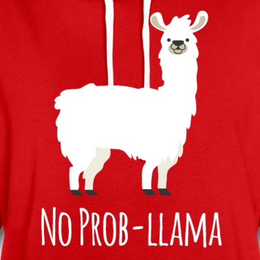 Abschlussfeier Hoodie - Kein Prob Lama Kein Problem