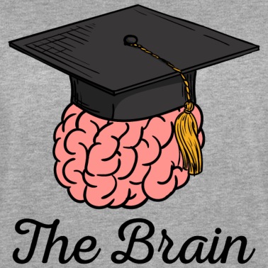 Abschlussklasse Pullover - Matura Studium Schulabschluss Abitur Master Lustig