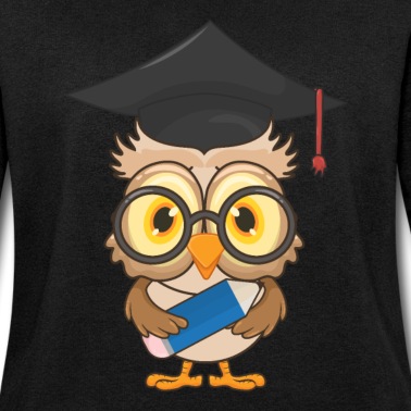 Grundschule Pullover - Eule Schulabschluss Schule