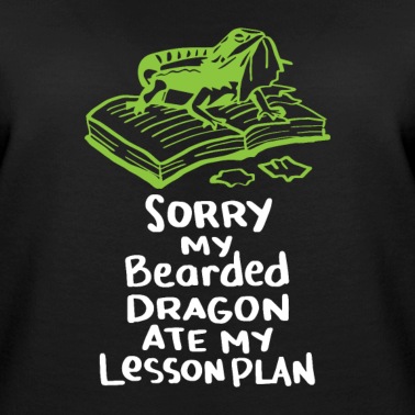 Grundschule Pullover - Bartagame Lehrer Lehrerin Abschluss Geschenk