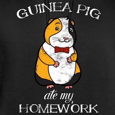 Grundschule Hoodie - kind geschenk schule grundschule