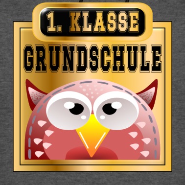 Grundschule Hoodie - 1 Klasse Grundschule Einschulungsgeschenke EULE