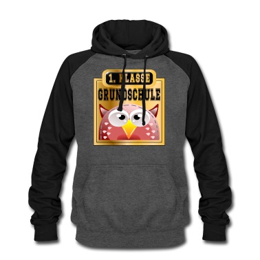 Grundschule Hoodie - 1 Klasse Grundschule Einschulungsgeschenke EULE