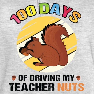 Grundschule Hoodie - 100 Tage fahren mein Lehrer Nüsse Eichhörnchen Liebhaber