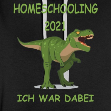 Grundschule Hoodie - Team Homeschooling DIno
