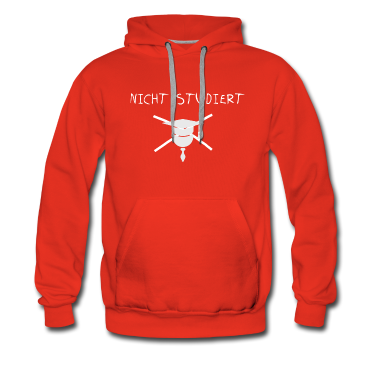 Realschule Hoodie - Nicht studiert Slogan