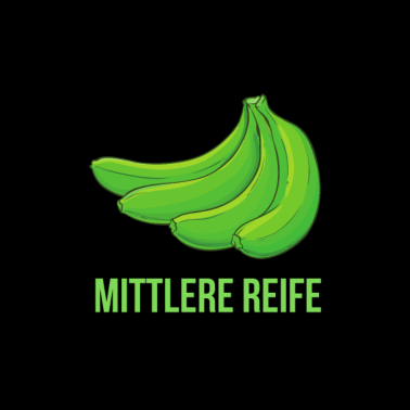 Motiv Mittlere Reife Realschule Abschluss Realabschluss