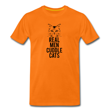 Realschulabschluss T-Shirt - Real Men Cuddle Cats 01