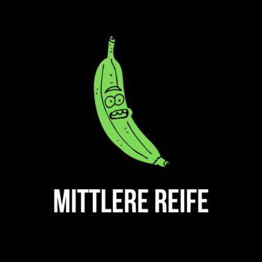 Motiv Mittlere Reife Realschule Realschulabschluss