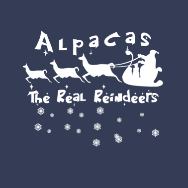 Motiv Alpacas the real reindeers, Alpakas die echten Reh