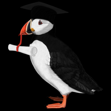 Motiv Papageitaucher Vogel Schulabschluss Abitur