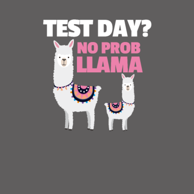 Motiv Prüfung Test Abschluss Schulabschluss Geschenk