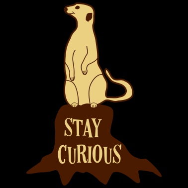 Motiv Erdmännchen Stay Curious Spruch
