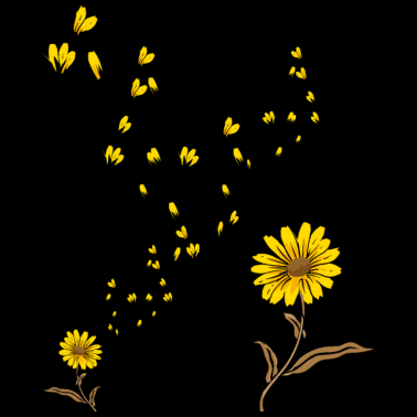 Motiv Sonnenschein Blumenblüte Sonnenblume