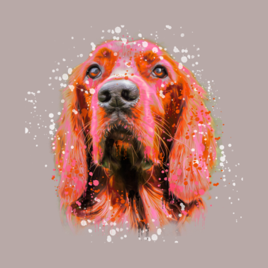 Motiv irish setter