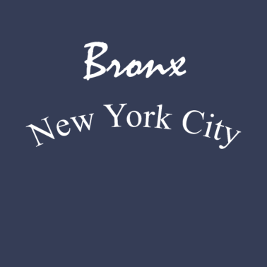 Motiv Bronx New York City | T-Shirt