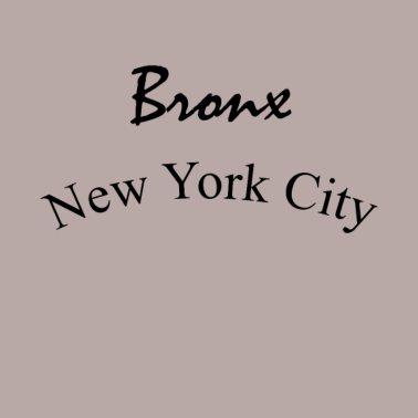 Motiv Bronx New York City | T-Shirt