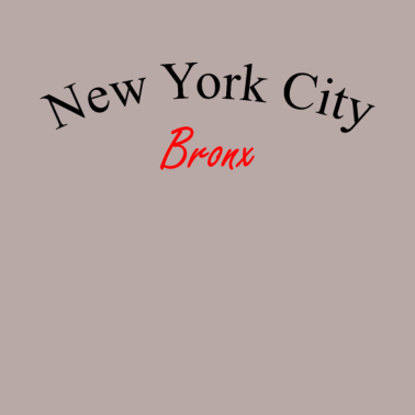 Motiv bronx New York City | T-Shirt